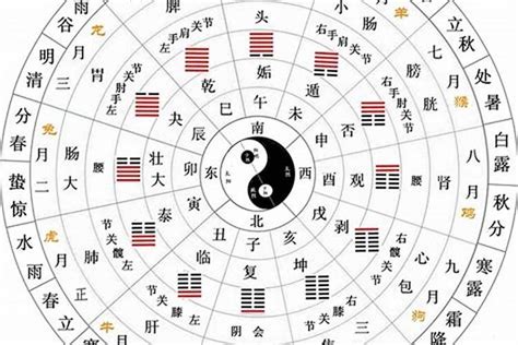 12地支时间|十二天干地支对照表 十天干和十二地支详解